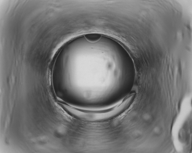 X0000096431510200802071714