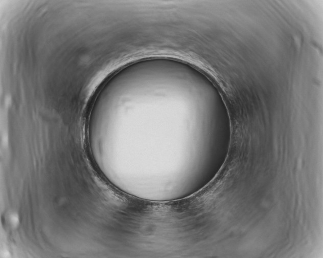 X0000096431511200802071714
