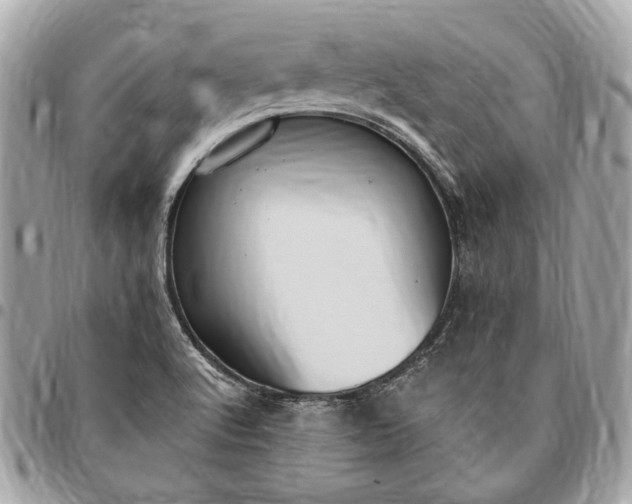 X0000096431512200802071714