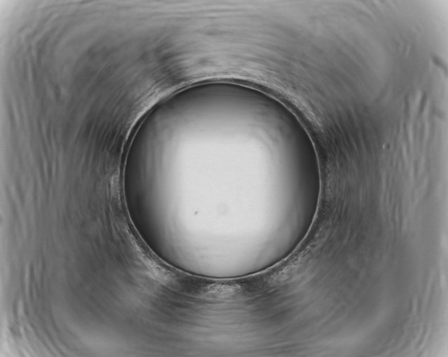 X0000096431513200802071714