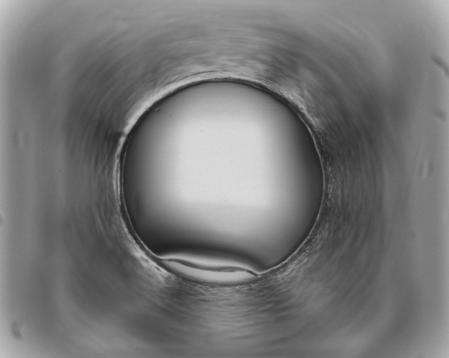 X0000096431516200802071714