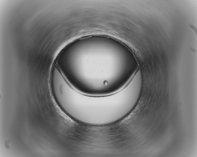 X0000096431518200802071714