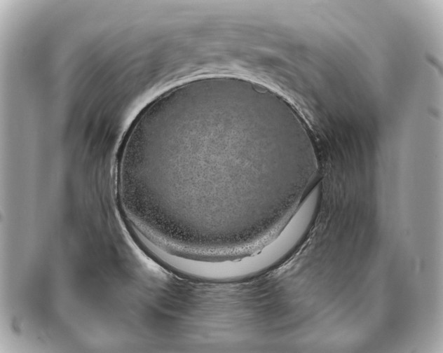 X0000096431519200802071714