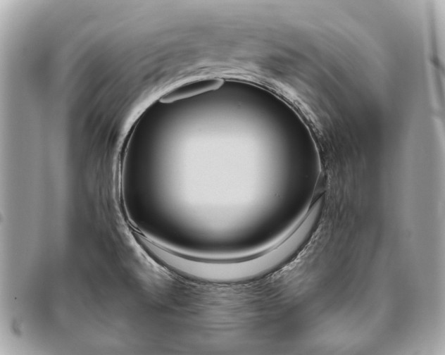 X0000096431520200802071714
