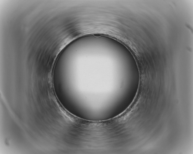 X0000096431521200802071714