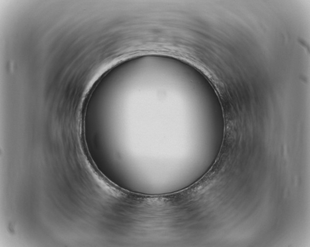 X0000096431523200802071714