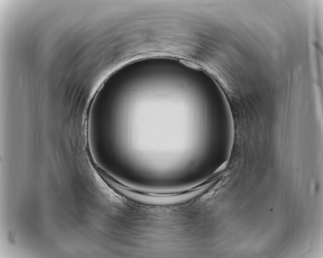 X0000096431524200802071714