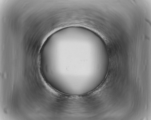 X0000096431526200802071714