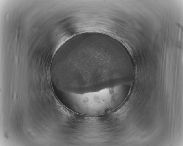 X0000096431529200802071714