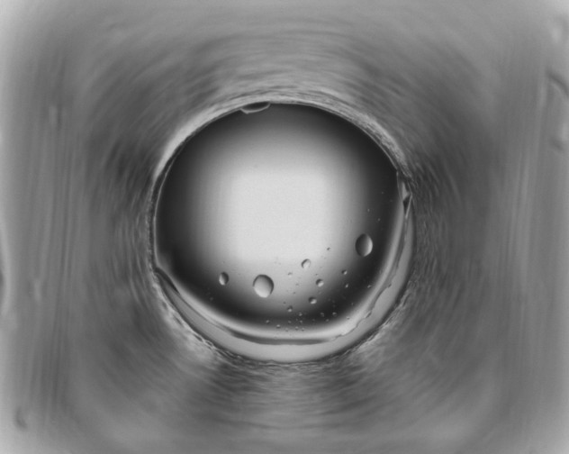 X0000096431530200802071714