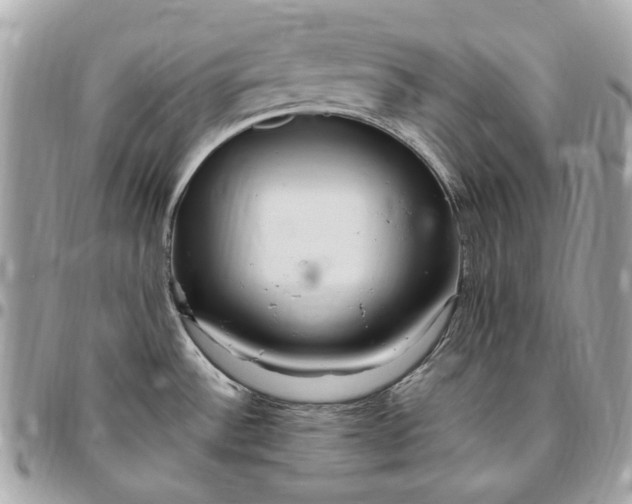 X0000096431532200802071714