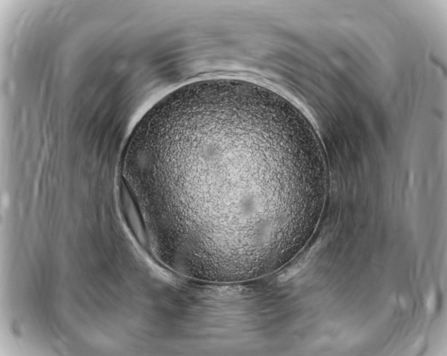 X0000096431533200802071714