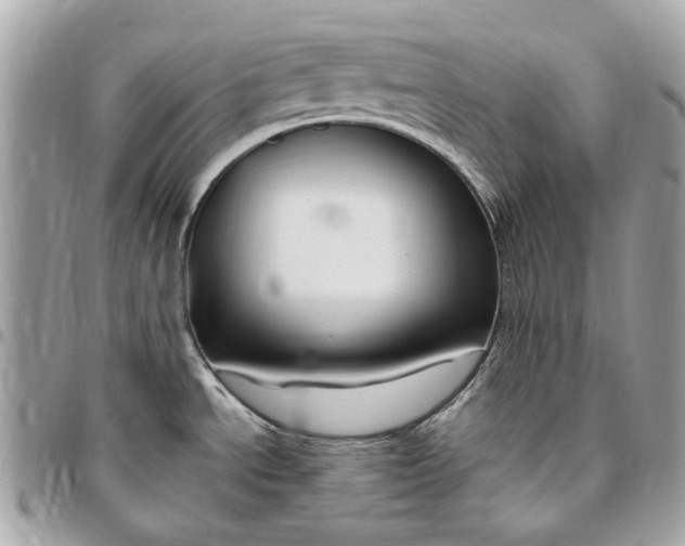X0000096431534200802071714