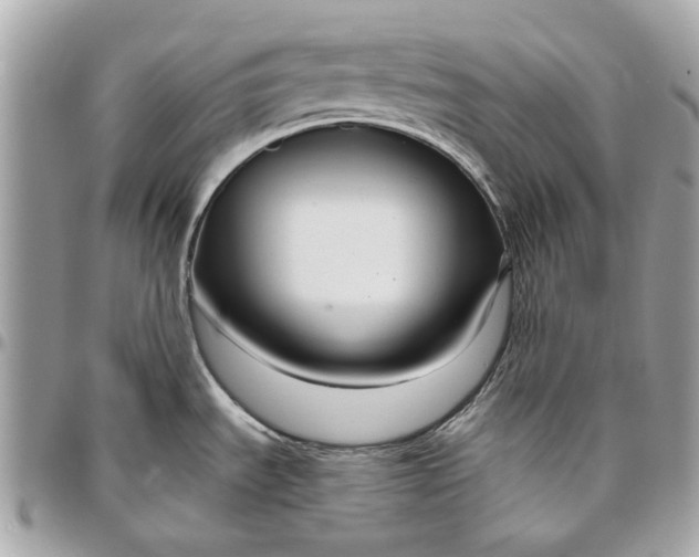 X0000096431535200802071714