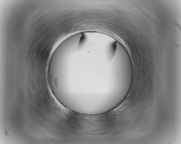 X0000096431536200802071714