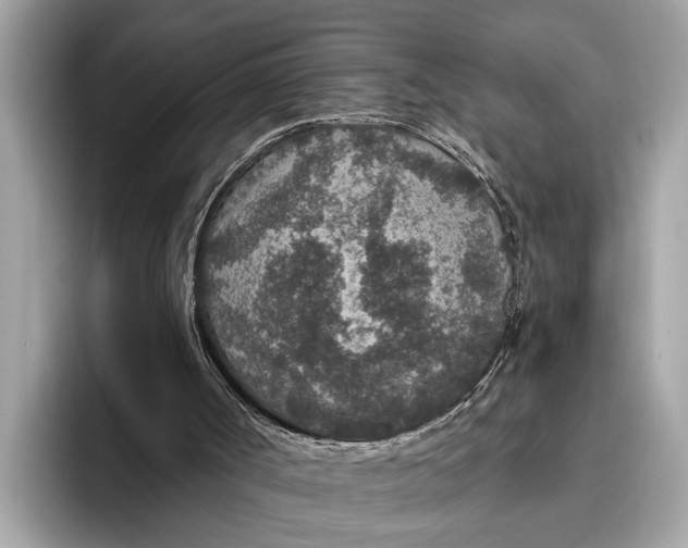 X0000096430002200802141441