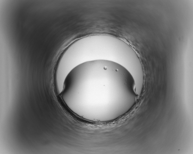 X0000096430005200802141441