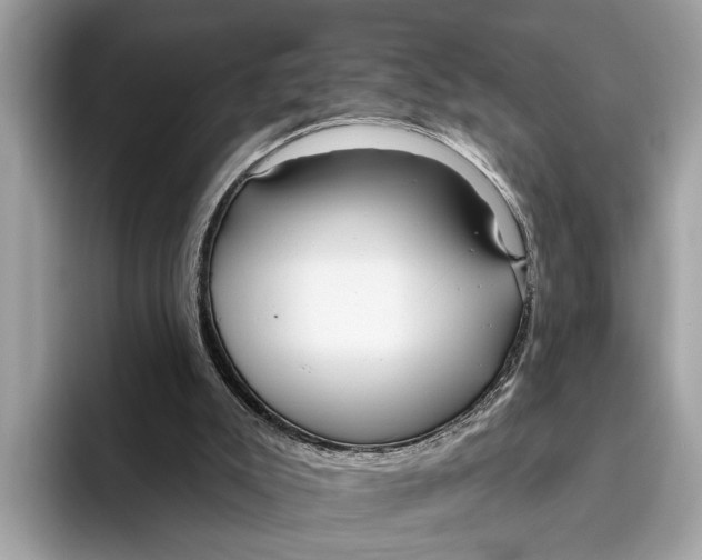 X0000096430007200802141441