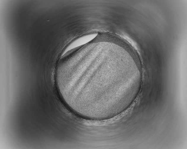 X0000096430009200802141441