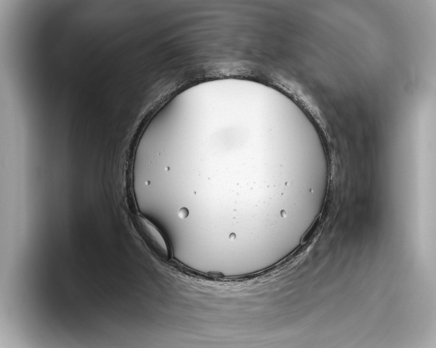 X0000096430010200802141441