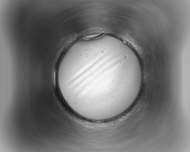 X0000096430014200802141441