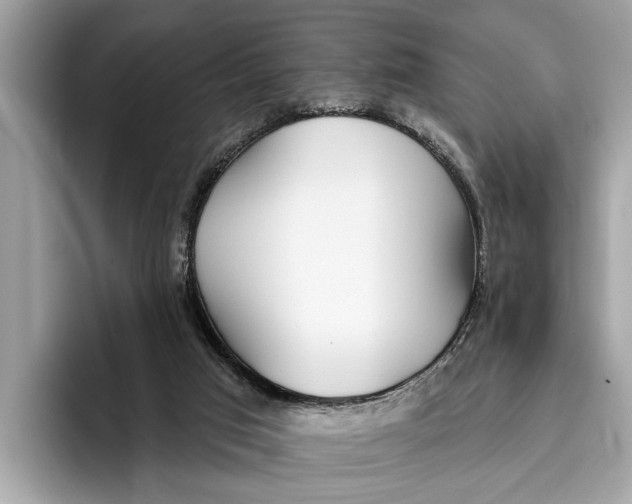 X0000096430017200802141441