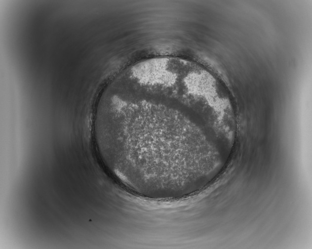X0000096430018200802141441