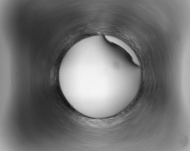 X0000096430030200802141441