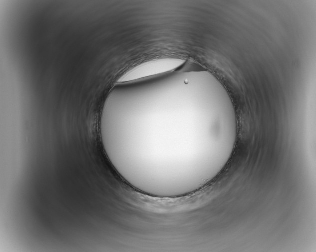 X0000096430034200802141441