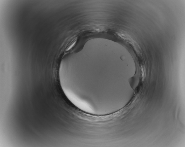 X0000096430035200802141441