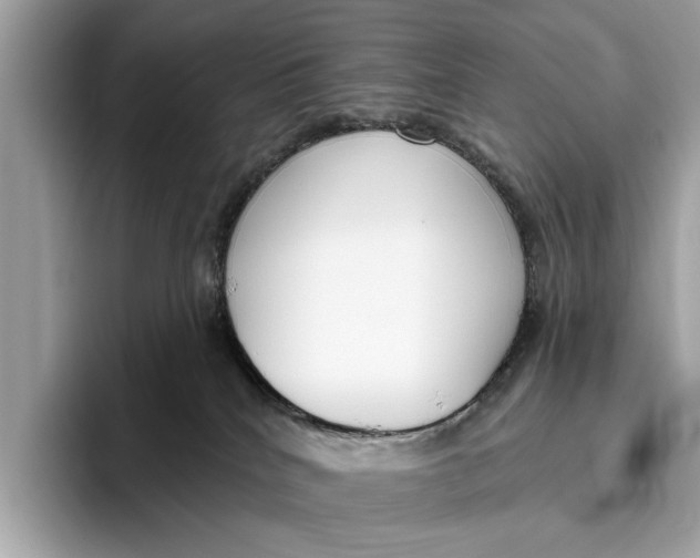 X0000096430040200802141440