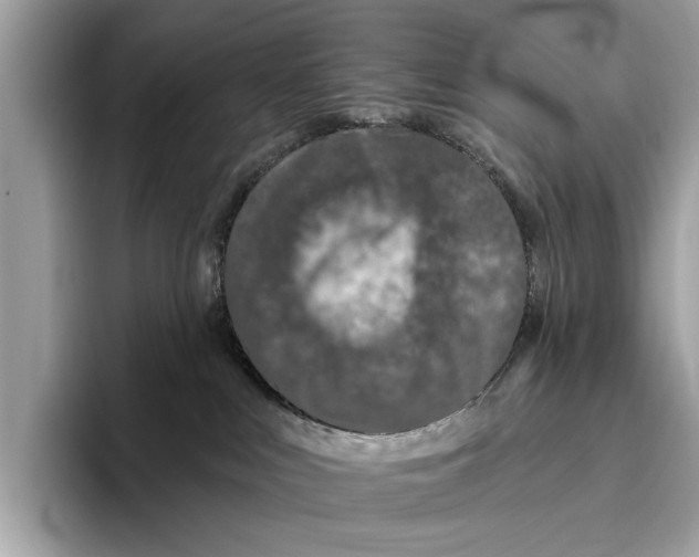 X0000096430043200802141440