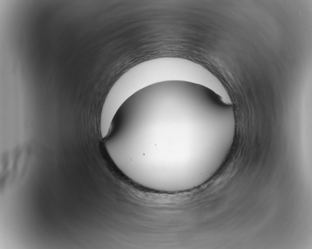 X0000096430044200802141440