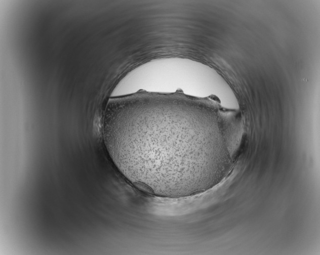 X0000096430045200802141440