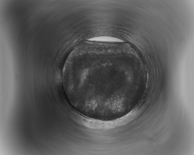 X0000096430048200802141440