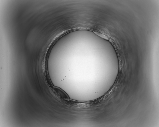 X0000096430050200802141440