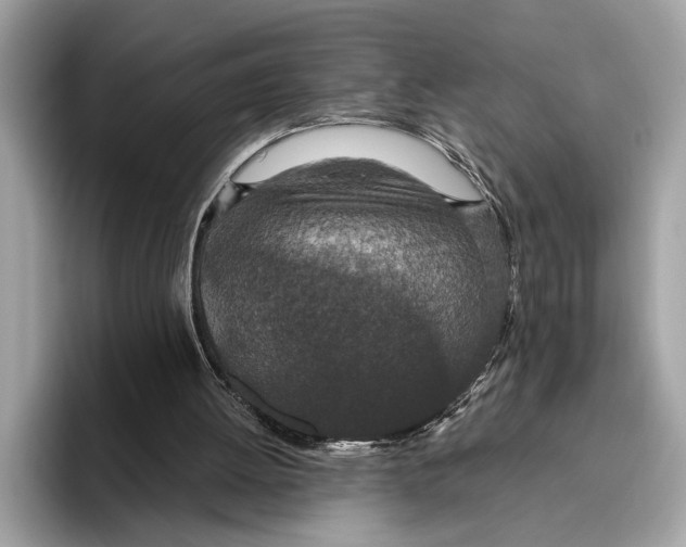 X0000096430052200802141440
