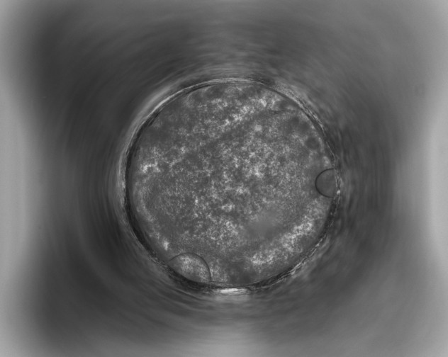 X0000096430053200802141440