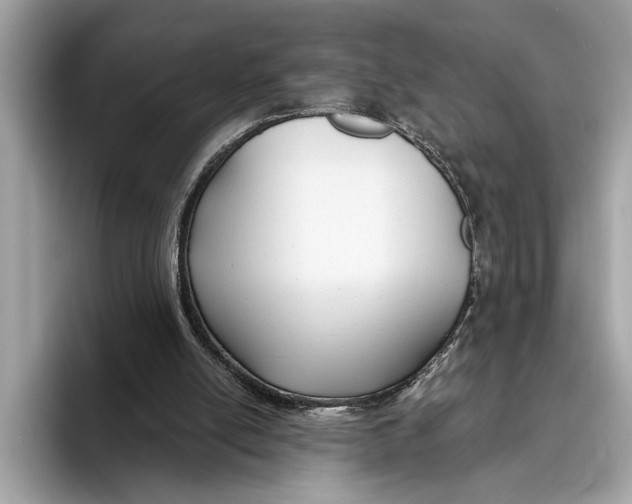 X0000096430054200802141440