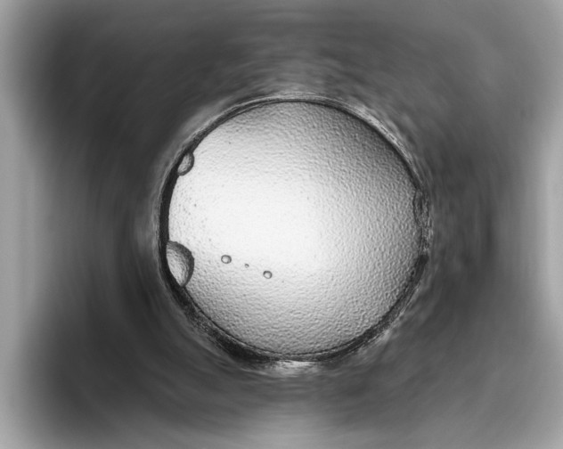 X0000096430055200802141440