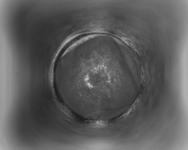 X0000096430056200802141440