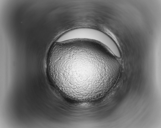 X0000096430059200802141440