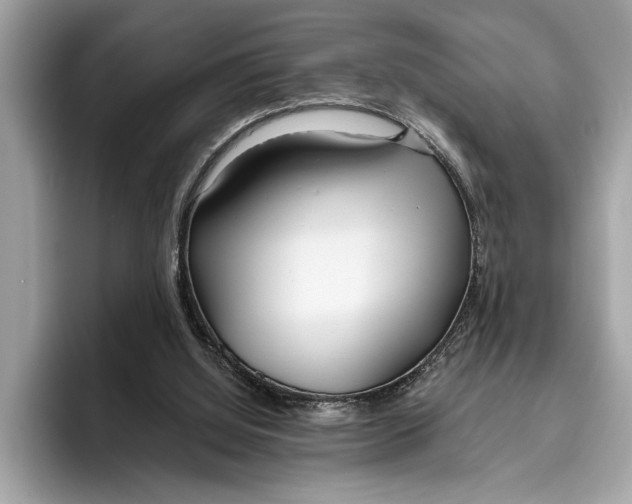 X0000096430060200802141440