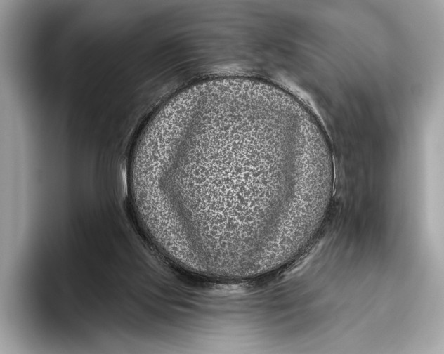 X0000096430061200802141440