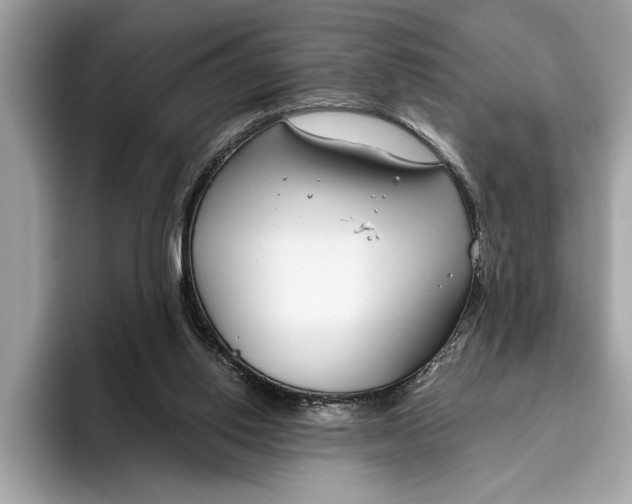 X0000096430062200802141440