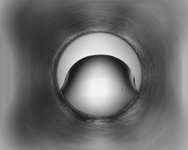X0000096430064200802141440