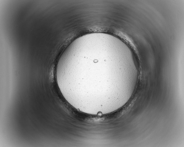 X0000096430065200802141440