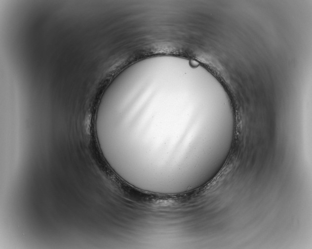 X0000096430066200802141440
