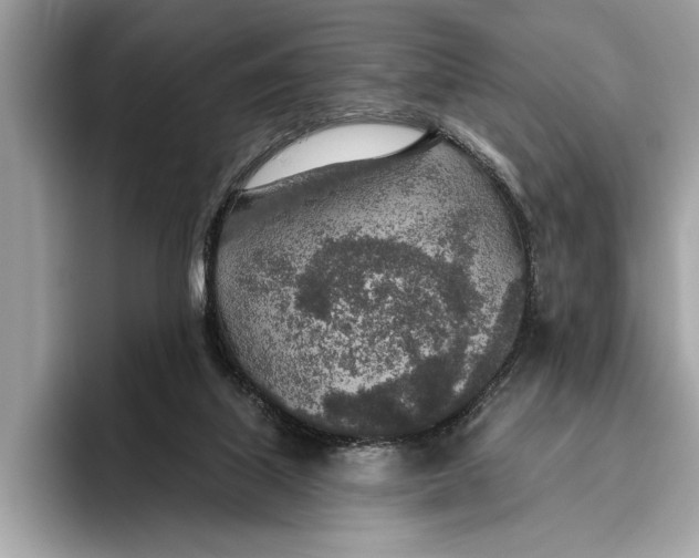 X0000096430067200802141440