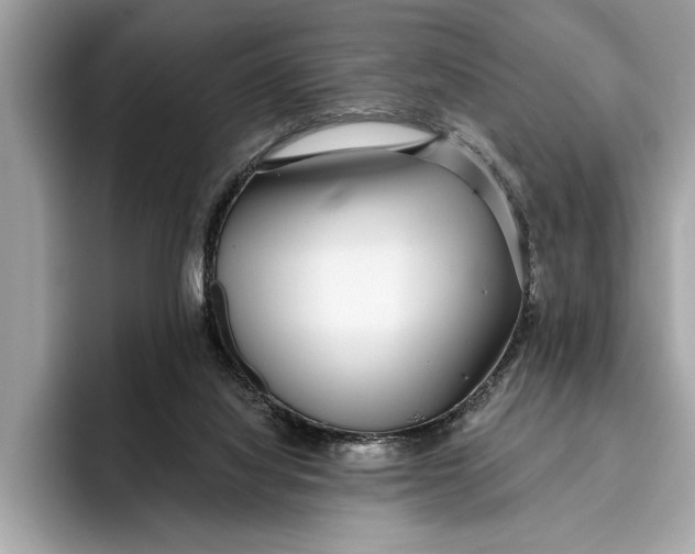 X0000096430068200802141440